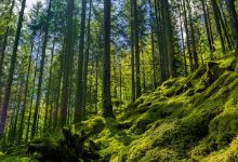 Soldatenbrunnen景点图片