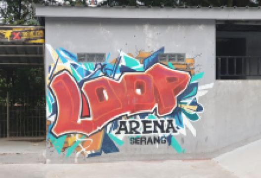 Loop Arena SkatePark Stadion景点图片