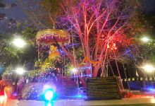 Wat Pho Than Phra - Bodhi-Thanphra景点图片