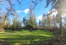 McCormick Disc Golf Course景点图片