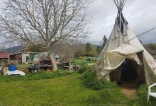 Golden Bay Community Gardens & Sustainable Living Centre景点图片