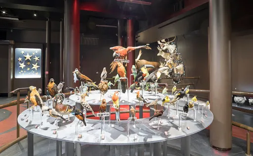 Musee De La Nature Et Des Sciences