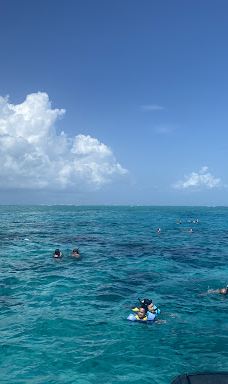 Red Sail Sports - Safehaven Marina-乔治市