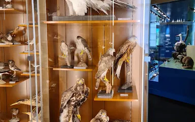 Naturmuseum Solothurn