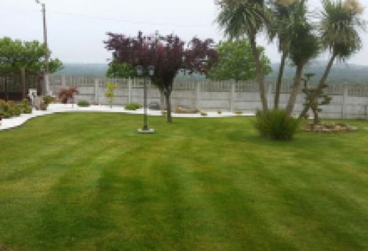 Lucus jardin购物图片