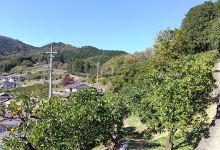 Suirin Fishing Center景点图片