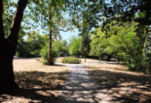 Rosenpark景点图片