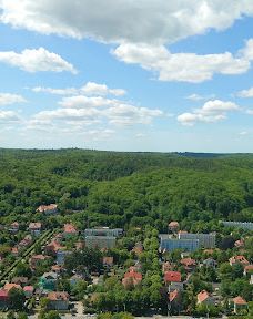 Olivia Star-格但斯克