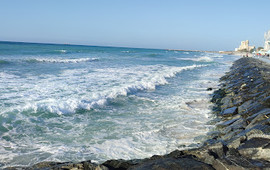 HOLIDAY BEACH CLUB
