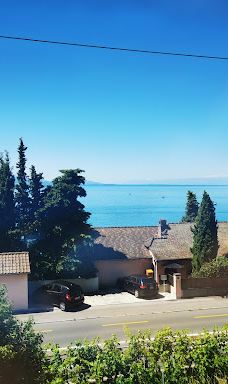 Terrasses viticoles de Lavaux-Lavaux-Oron District