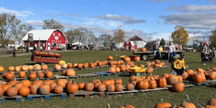 Richardson Corn Maze