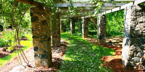 Raleigh Little Theatre Rose Garden