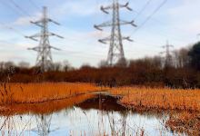Heysham Nature Reserve景点图片