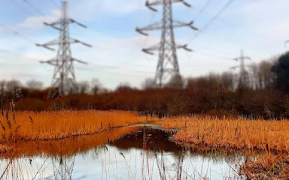 Heysham Nature Reserve