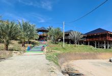 Kebun Kurma Aceh景点图片