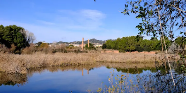 Aiguamoll de la Bòbila