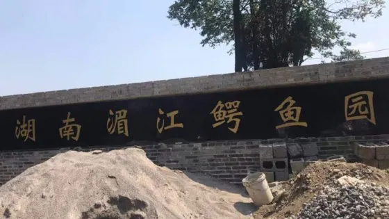 湖南湄江鱷魚園