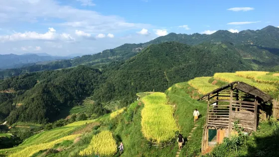 高華村