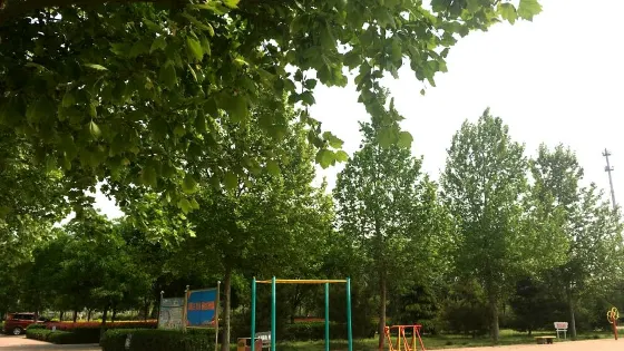 南關公園