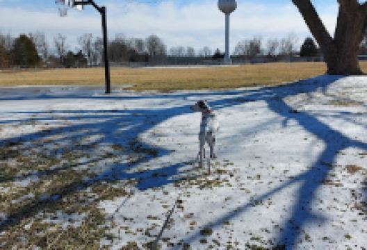 Howard Smith Community Park景点图片