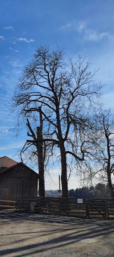 Schloss Lustbühel, Graz-格拉茨