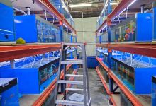 Fish Cluster Aquarium 聚鱼阁水族馆购物图片