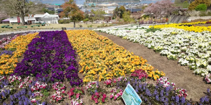 尾道市因島フラワーセンター