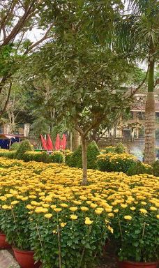 công viên Di Lăng-山河县