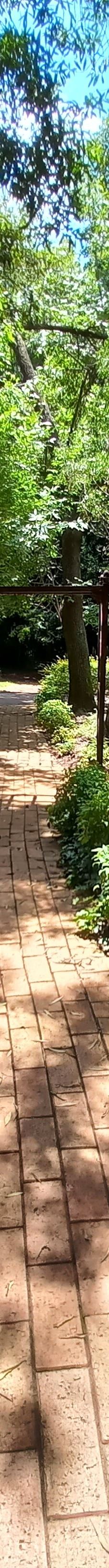 约翰内斯堡植物园-兰德堡