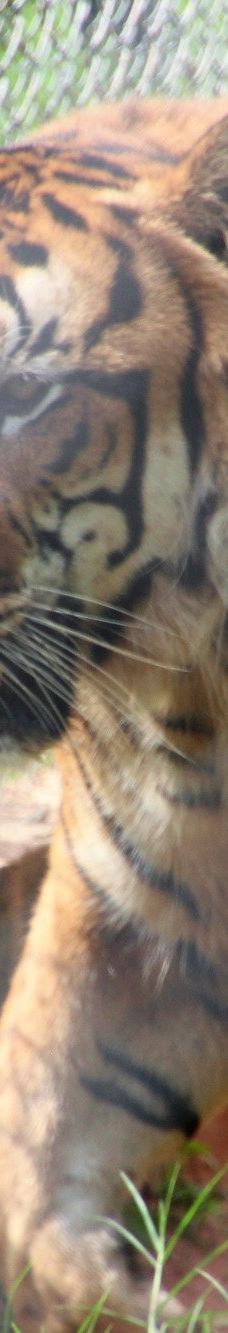 Botanical Garden of Asunción-亚松森