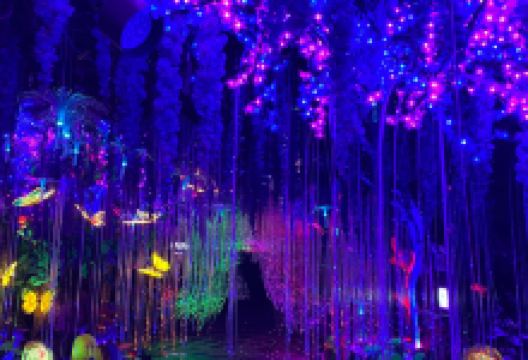 光明洞窟景点图片