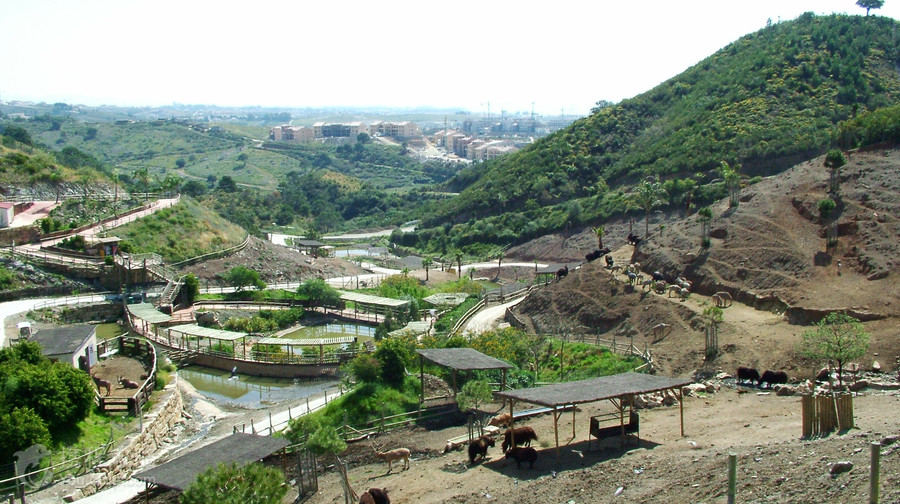 Selwo Aventura