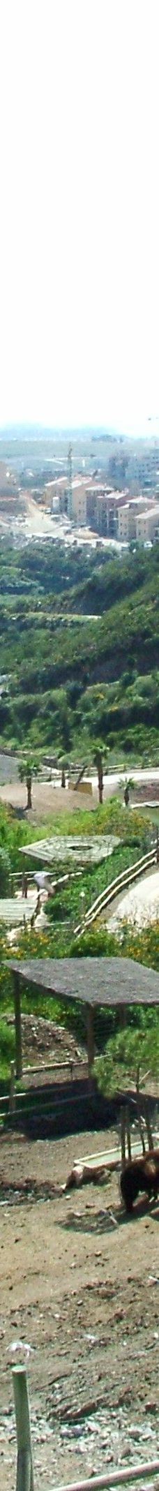 Selwo Aventura-埃斯特波纳