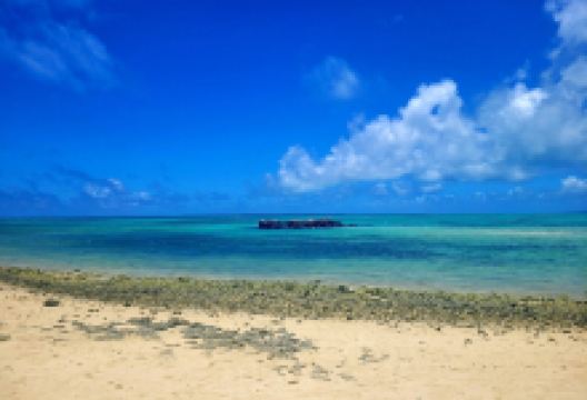 皆治浜景点图片