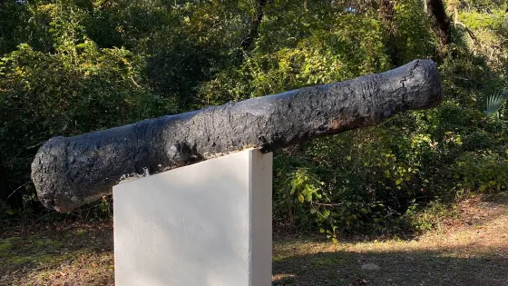 Yellow Bluff Fort