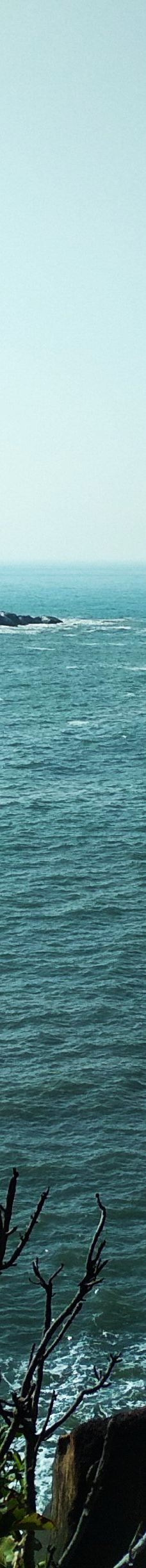 阿贡达海滩-雅高达