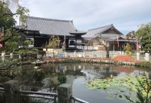円照寺景点图片