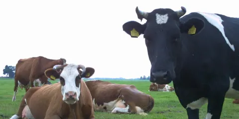 Boerderij 't Geertje