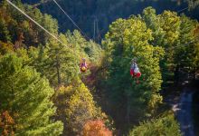 Red River Gorge Ziplines景点图片