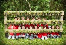 Reserva Ambiental Serelepe景点图片