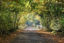 Sculthorpe Moor Nature Reserve景点图片
