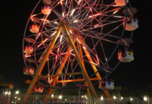 Jungle Festival景点图片