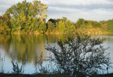 Fidler Pond Park景点图片