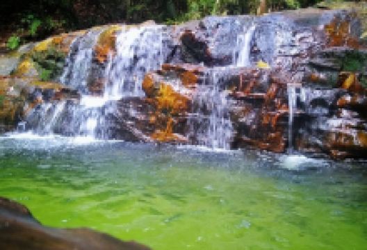 Ayer Hitam Forest Reserve景点图片