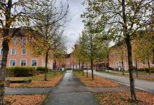 Illenauer Waldfriedhof景点图片