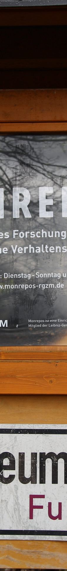 Museum MONREPOS-新维德