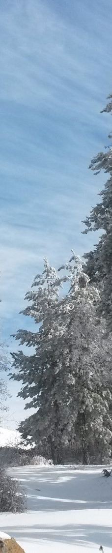 奥林匹斯山-特罗多斯山