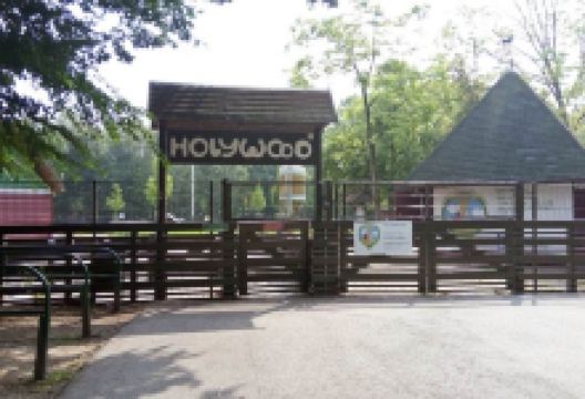 Stadsboerderij Holywood景点图片