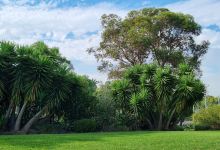 Creswick Street Reserve景点图片