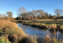 Ashtead Rye Meadows Wetlands景点图片